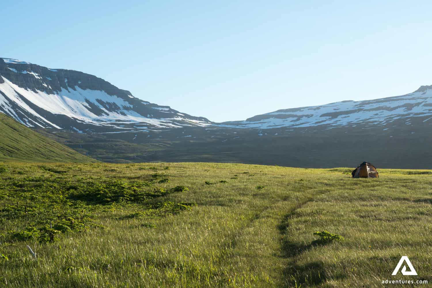 camping at Hornstrandir Nature Reserve in Iceland