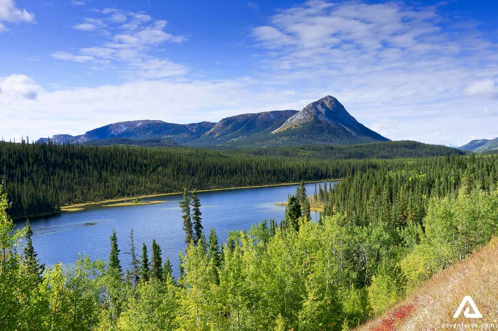 Yukon Lake surrounded by forests in Canada