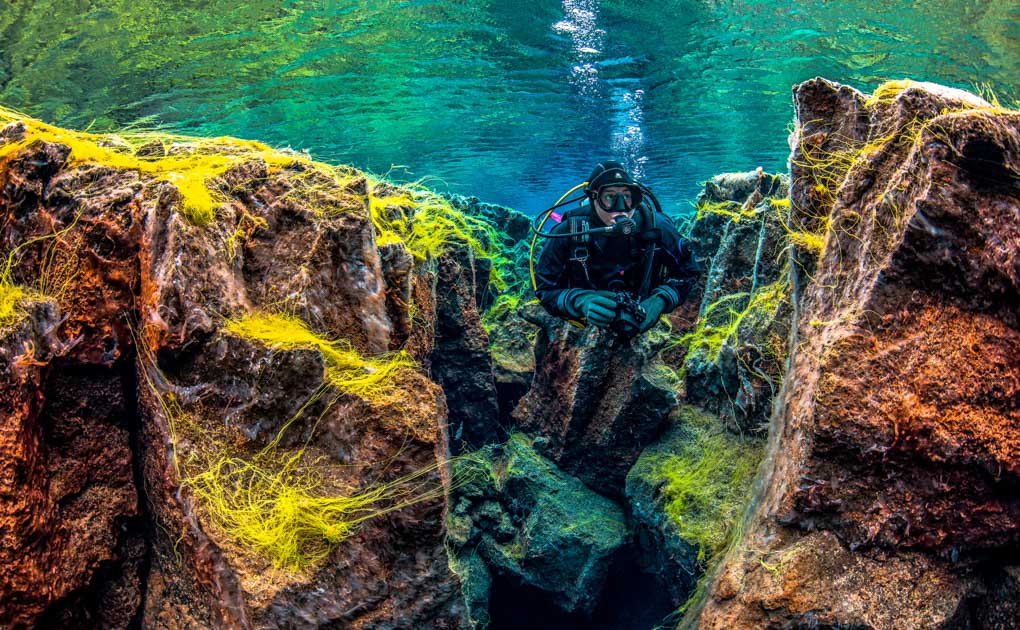 Multi-Day Diving Tour