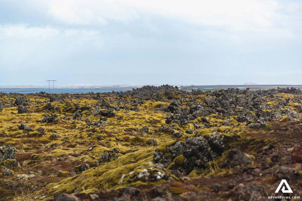 Snaefellsnes Peninsula Lava Field