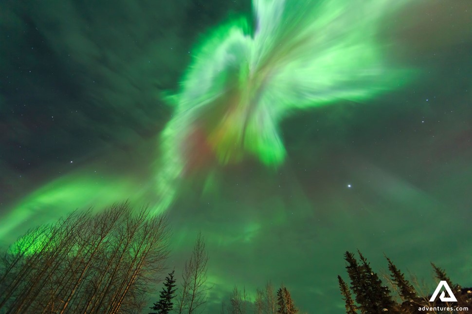 Bright Green Northern Lights in Alaska