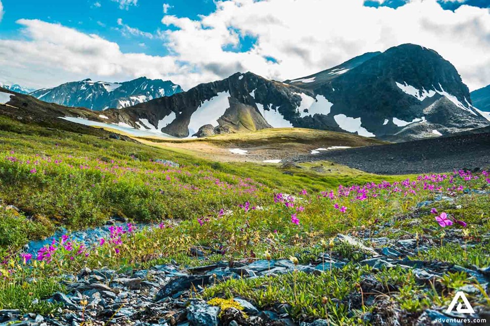 Crow Pass Trail Landscape in Alaska