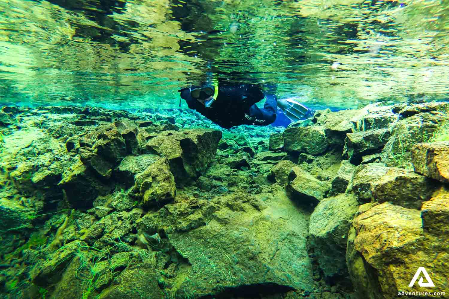 Silfra Snorkeling Day Tour From Reykjavik