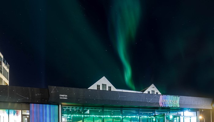 Aurora Borealis Museum in Iceland