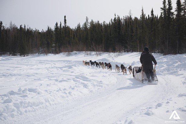 Dogsledding Tour in Canada during Winter