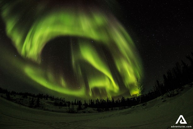 Light Green Northern Lights in Canada