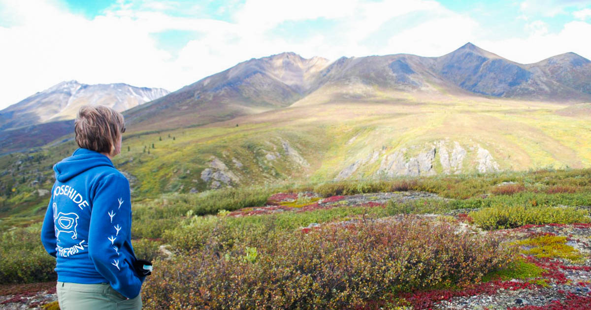 dempster highway bus tours