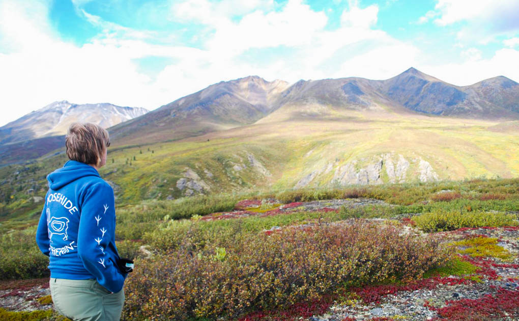 Summer van tours up the Dempster Highway to the Arctic Ocean