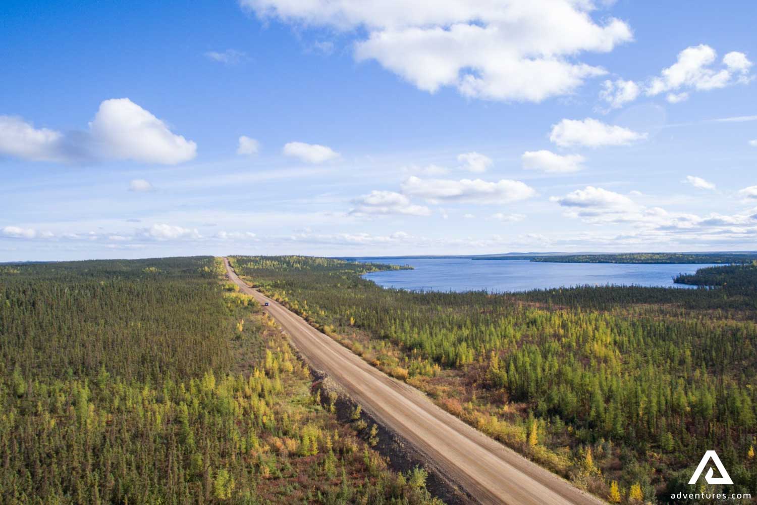 Road Through Forest by Lake in Canada