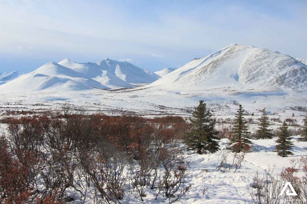 Snowy Mountains Panorama in Dempster Highway