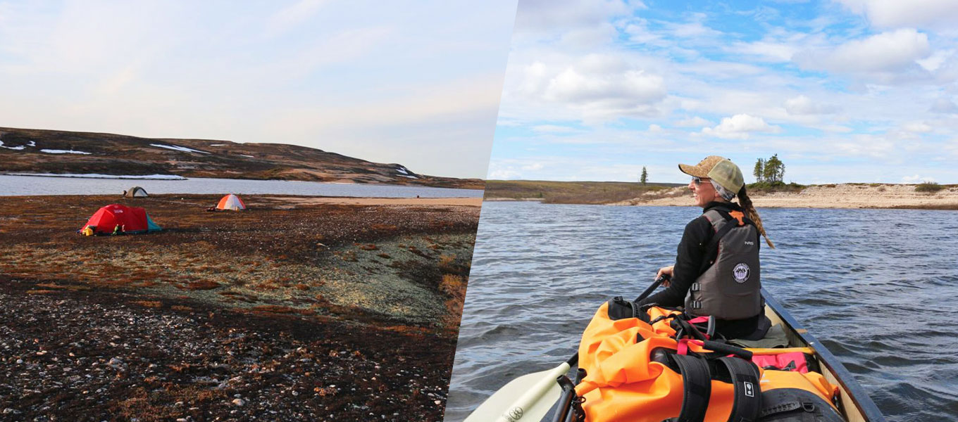 Canoe with muskox and wolves on this Thelon river expedition