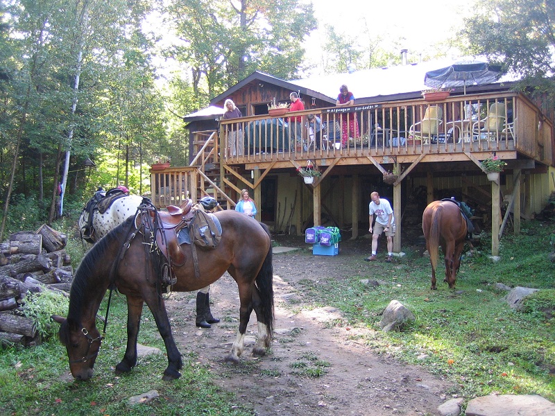 Horseback riding tours in Algonquin Provincial Park