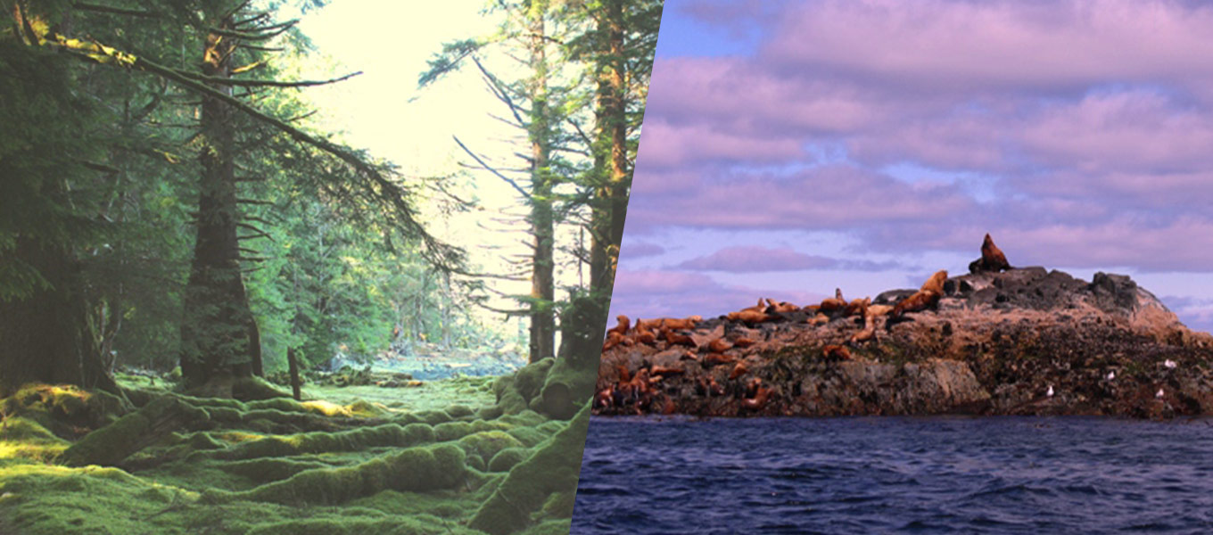 Haida Gwaii for Active Seniors – 7-Day Indigenous Culture & Nature Tour