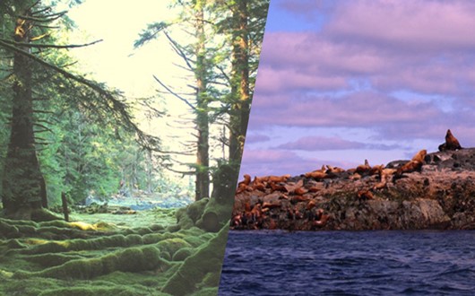 Haida Gwaii Indigenous Culture and Nature Tour in British Columbia