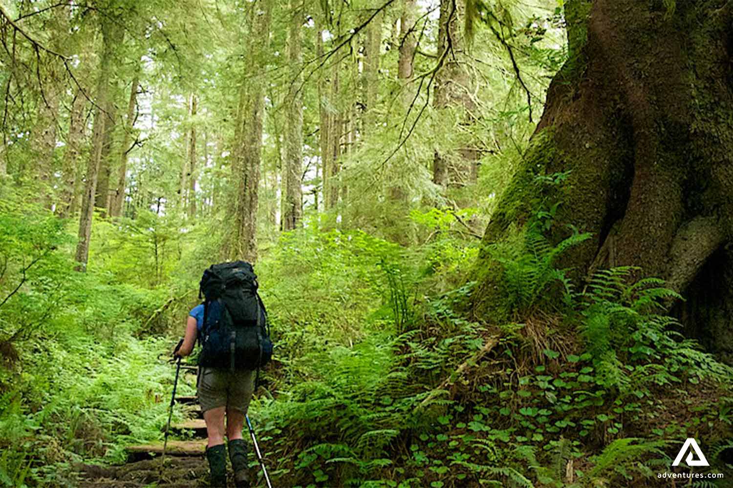 West Coast Trail backpacking expeditions