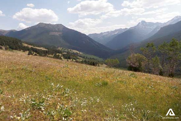Field by Chilcotin Mountains in Canada