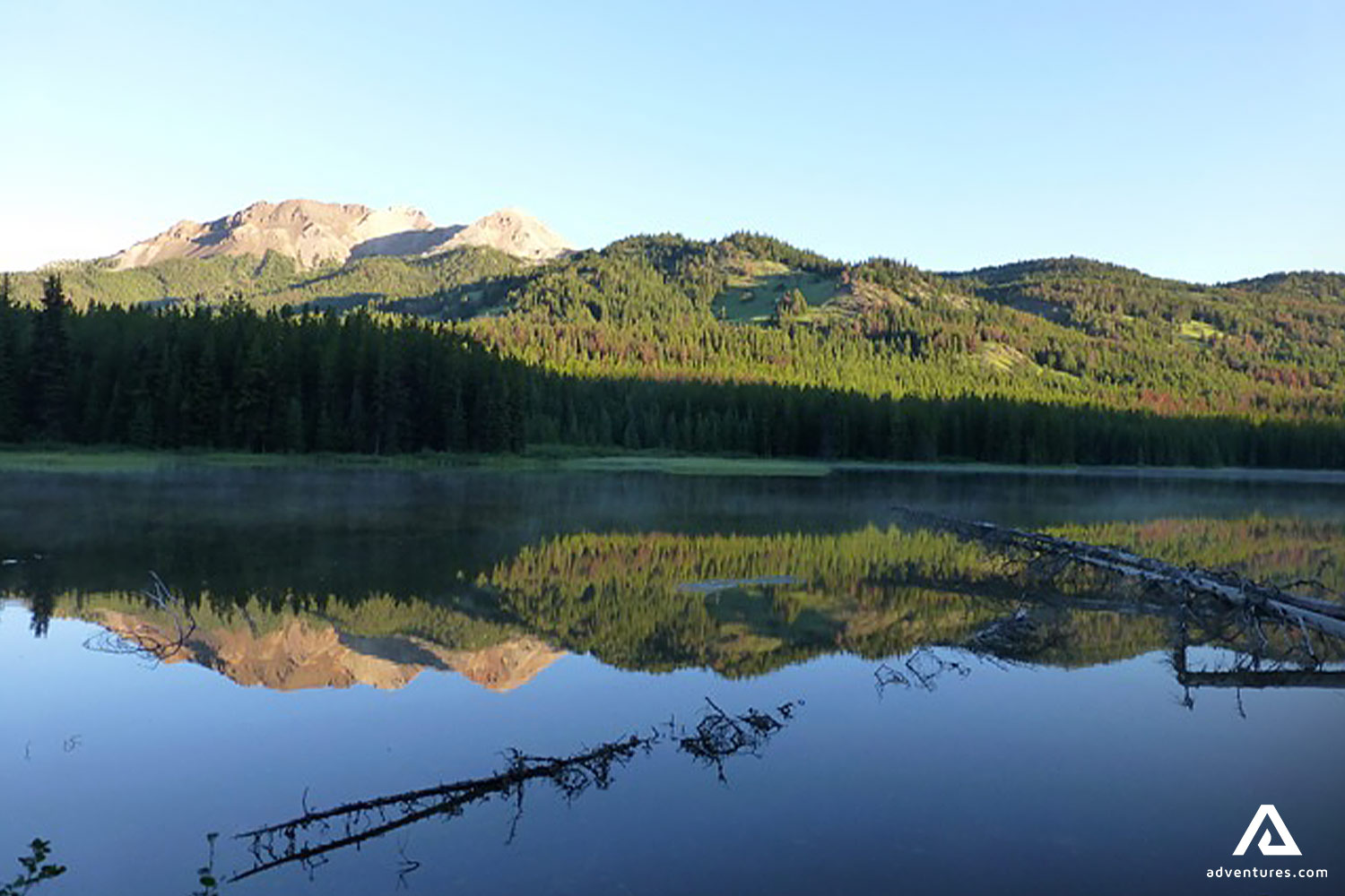 Forest by Lake near Chilcotin Mountains