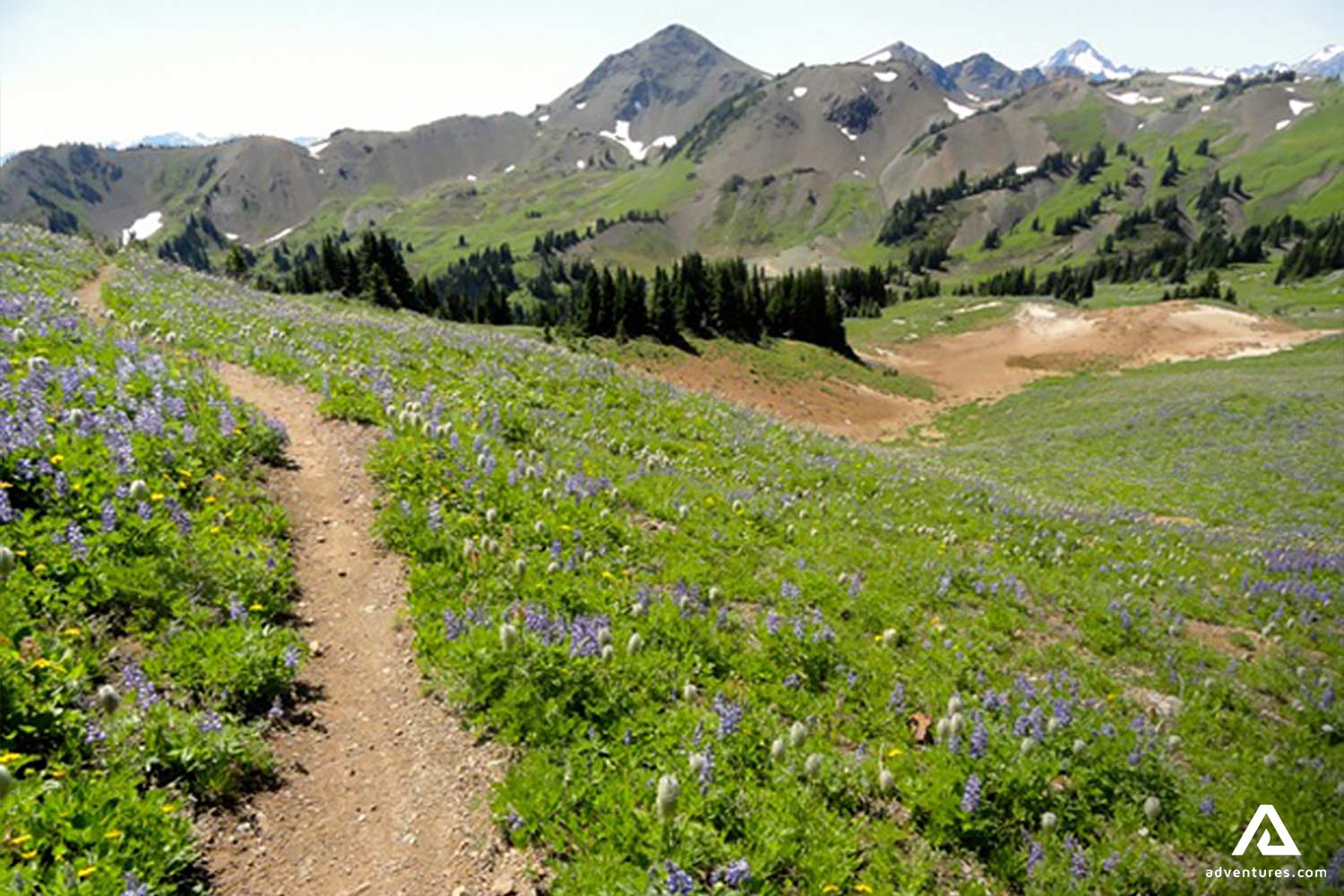 Chilcotin Mountain Backpacking Tour | Adventures.com