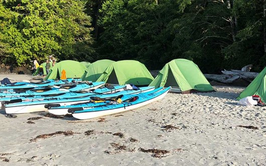 Hiking and Kayaking in Vancouver Island Tour