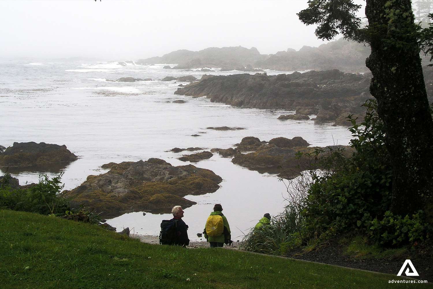 Group Hiking in Pacific West Coast in Vancouver Island