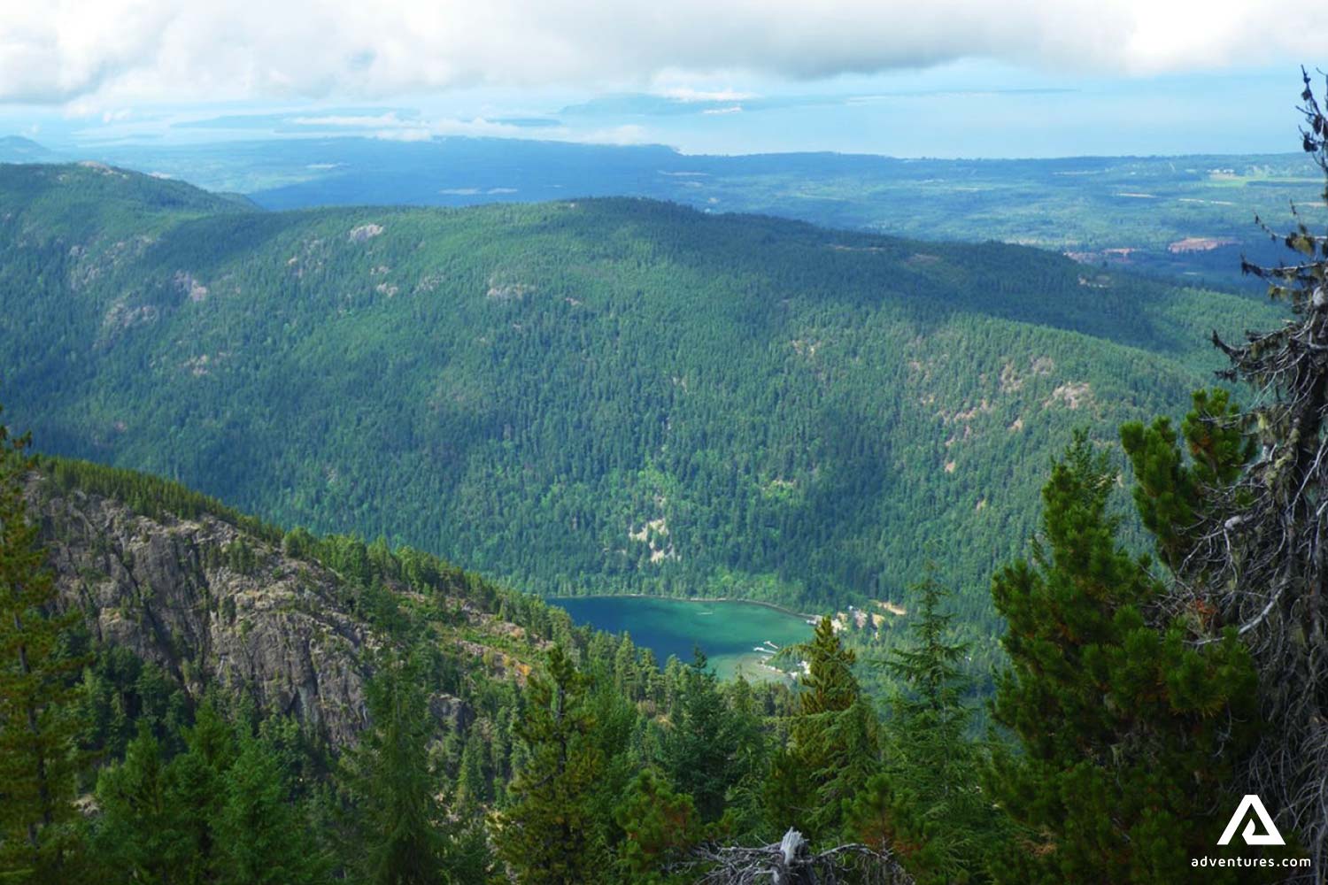 Forest Landscape of Vancouver Island