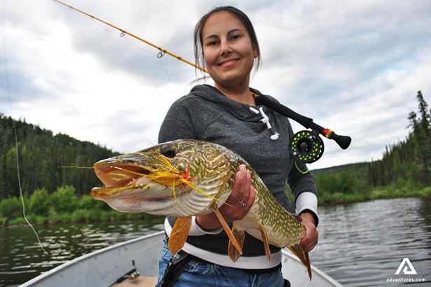 Woman Fishing Trout in Yukon