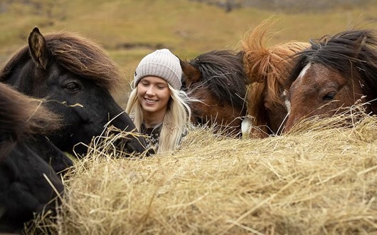 Horse Riding in East Iceland