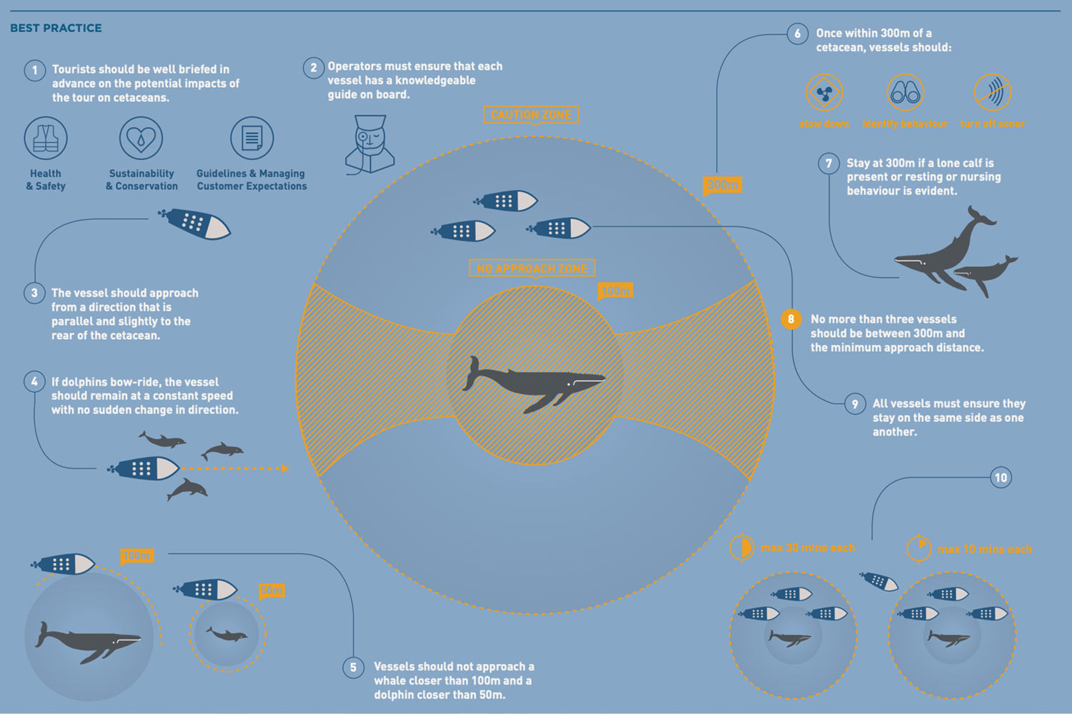 Responsible whale watching