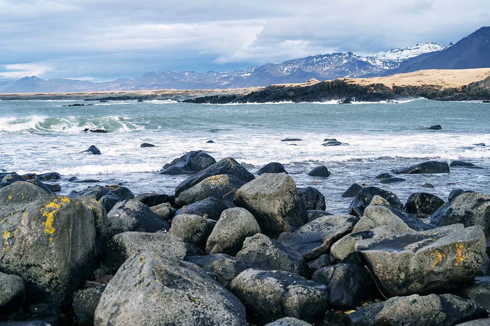 Yellow Sand in Iceland Ytri Tunga Beach 