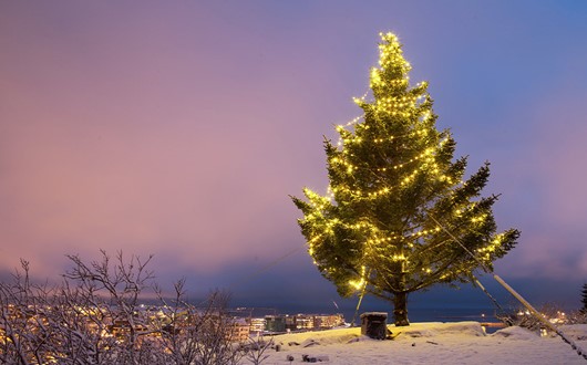 Essential Guide to Christmas in Iceland
