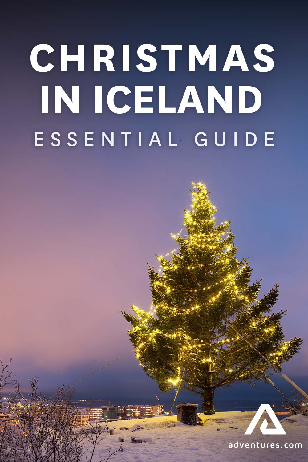 Christmas tree in a night sky 