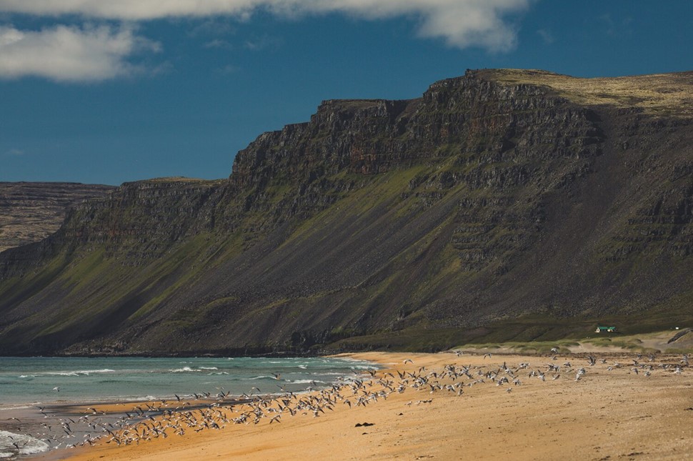 Dramatic Rauðasandur Beach with birds at distance