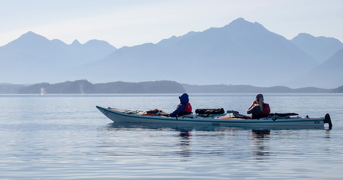 Kayaking with Killer Whales