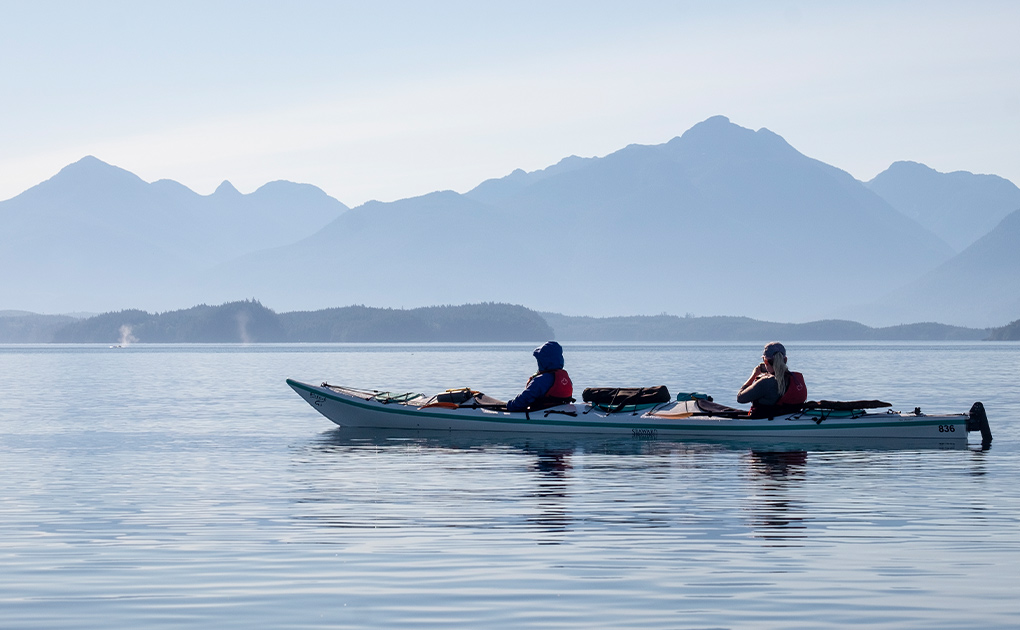 Kayaking with Killer Whales