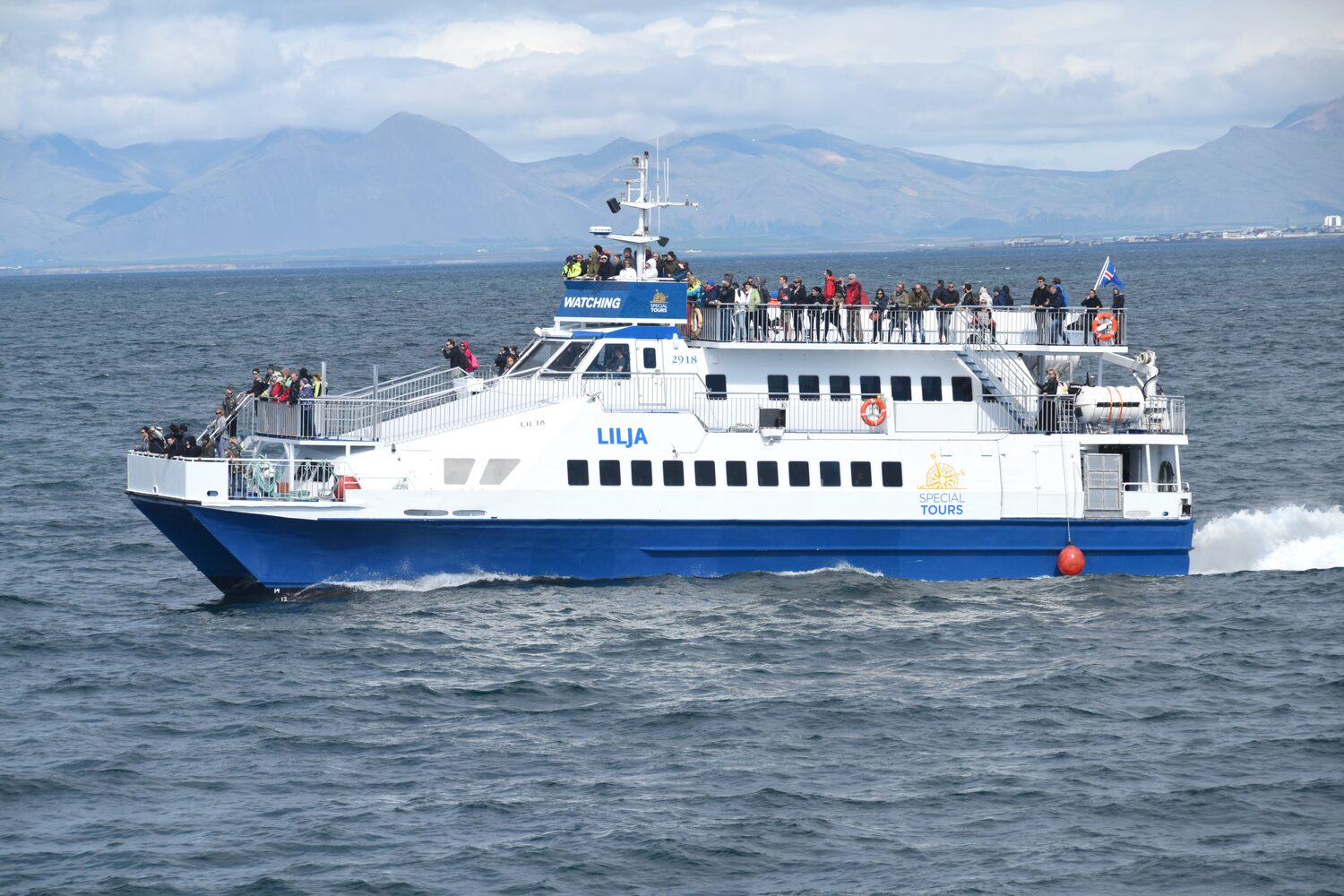 Whale watching boat tour in Iceland