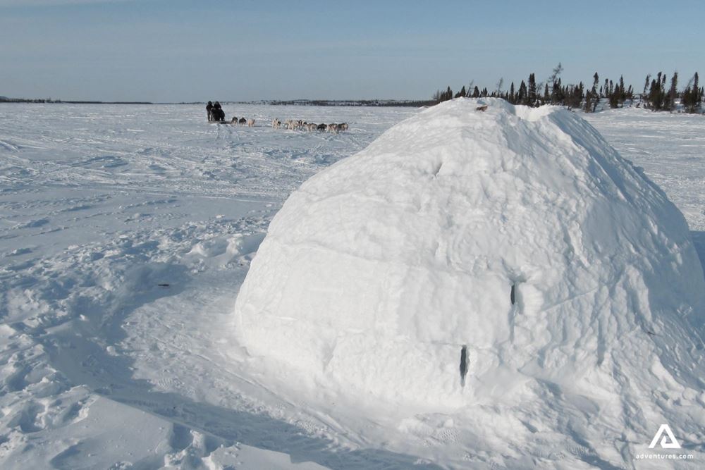 Learning how to build an igloo