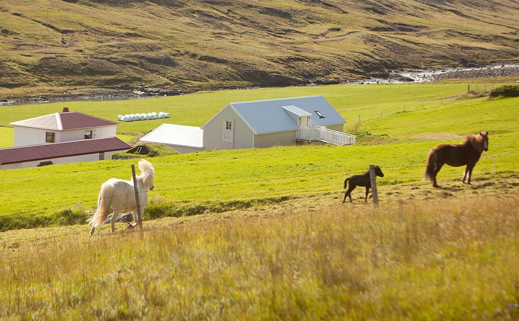 Wilderness Center Accommodation