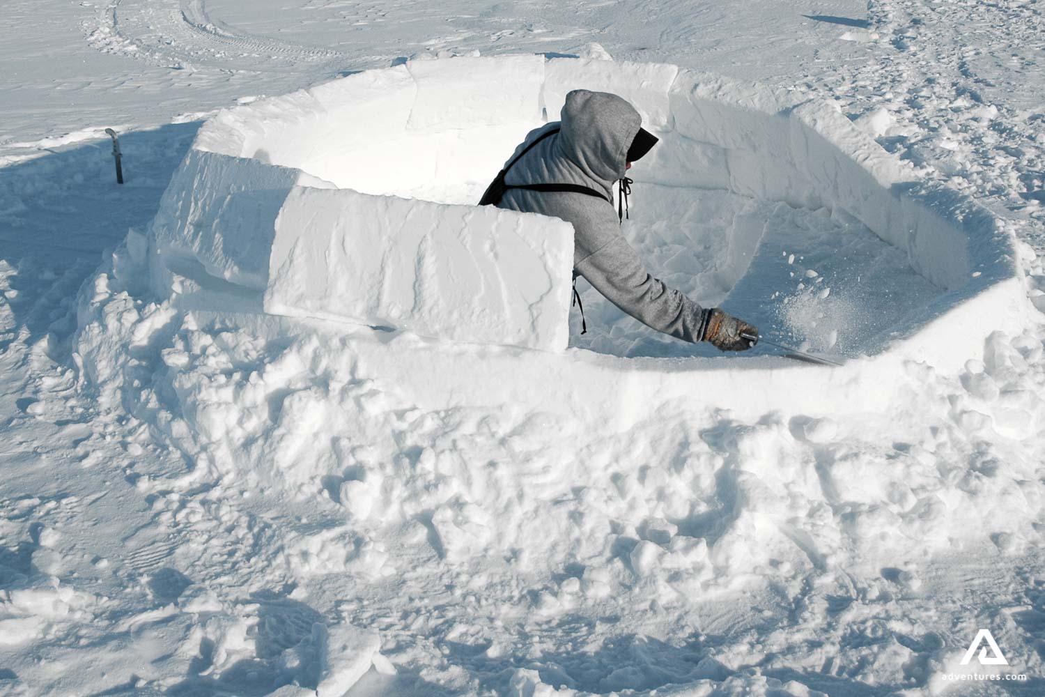 Explore Inuit Culture & See Arctic Wildlife