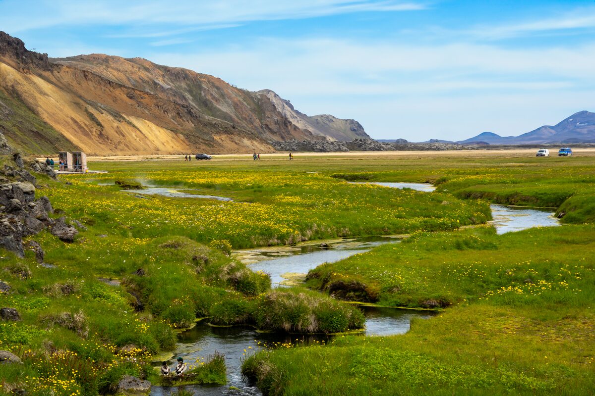 Bright green hike trail field in Landmannalaugar with stream and mountains in background