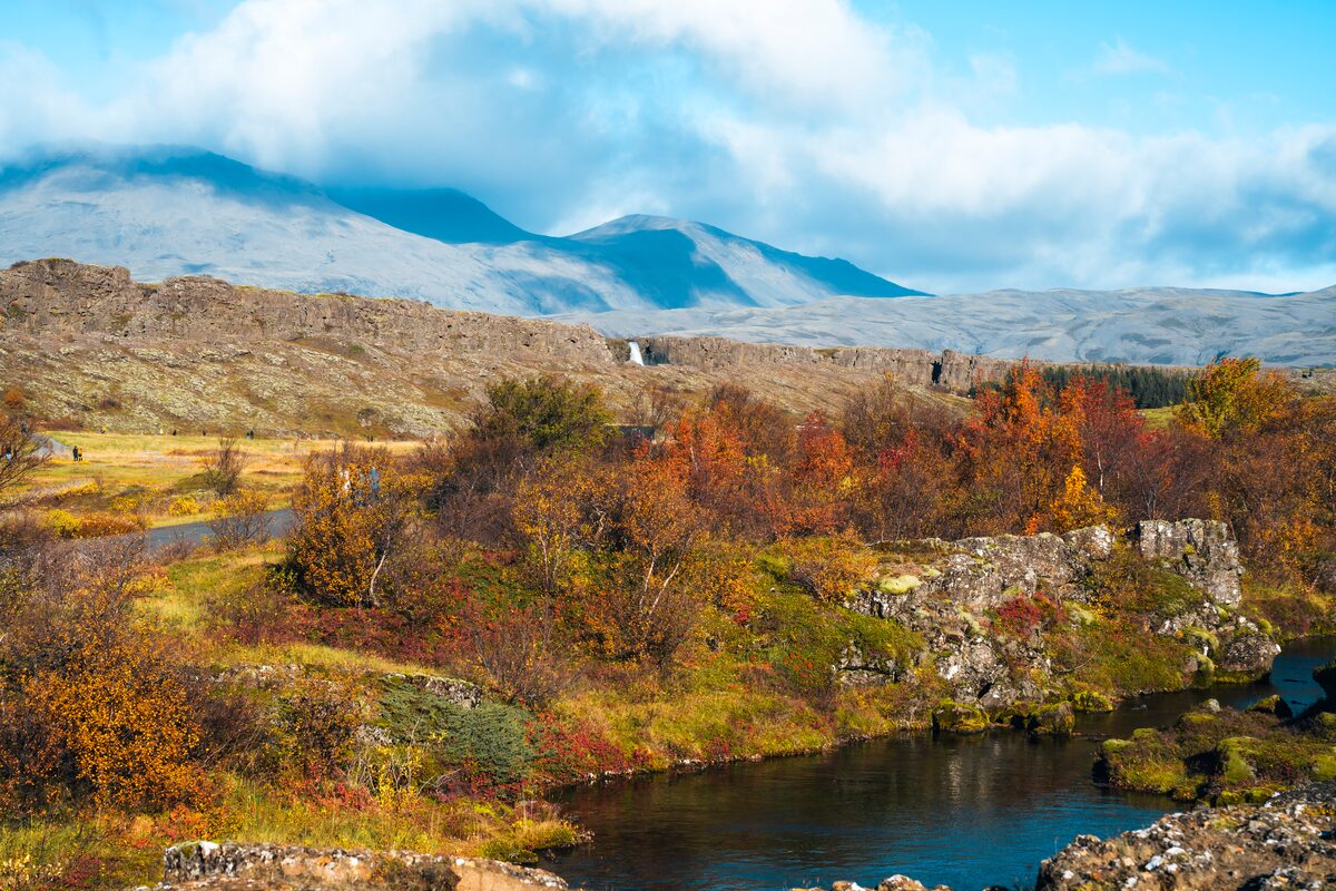 Thingvellir National Park Greenery In Iceland