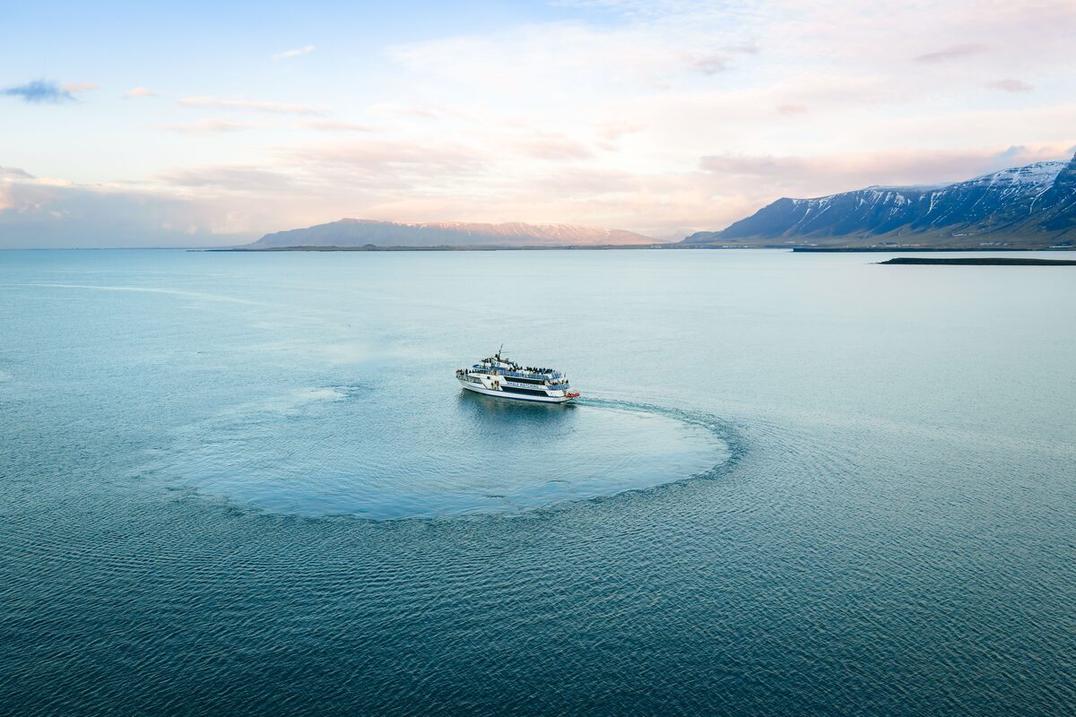 Boat On A Whale Watching Tour Drone View in iceland