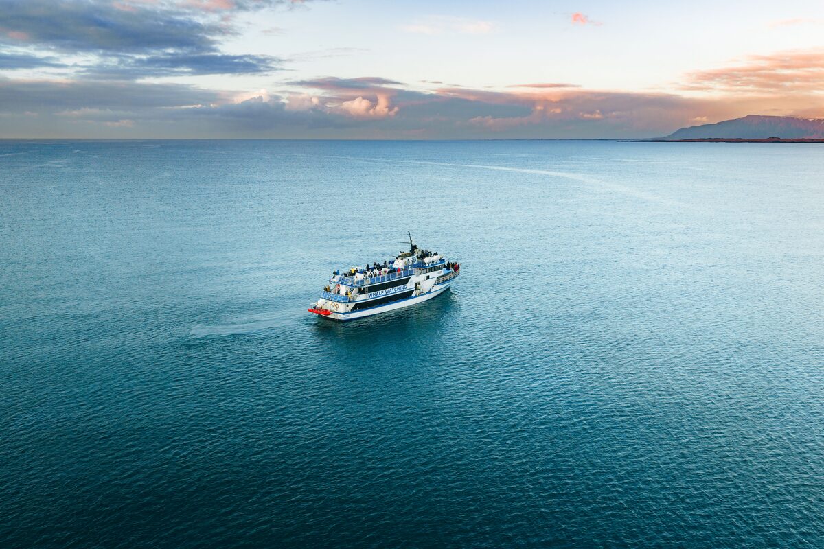 Whale Watching Tour Boat Photographed By A Drone in iceland