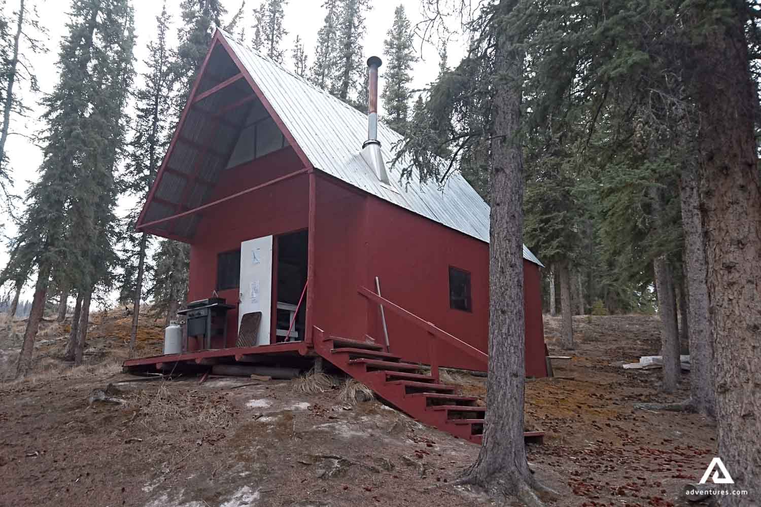 Lonely red hut in forest