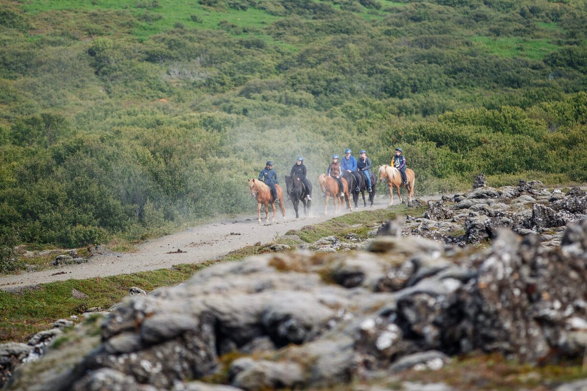 People On A Horse Riding Tour Riding On Gravel Road in Iceland