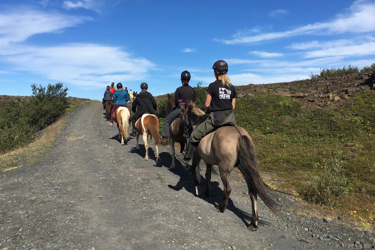 People Riding On Horses In A Line in Iceland