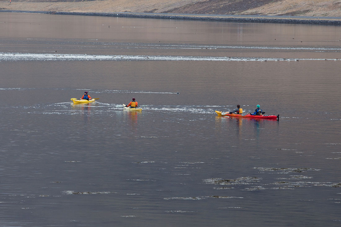 Kayaking Tour In Progress in Iceland