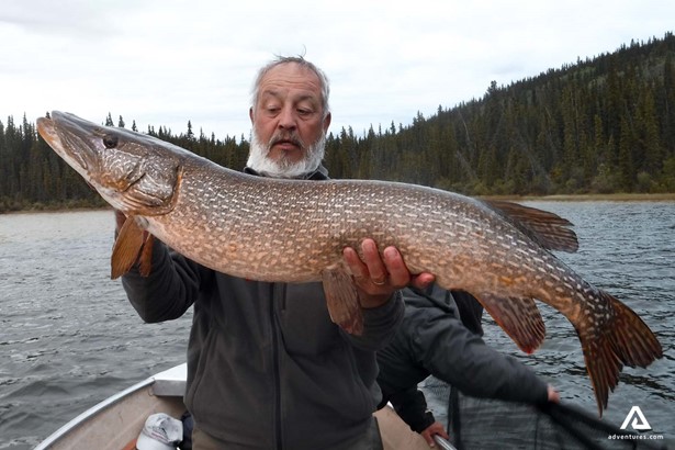 Old man Catch Big Fish