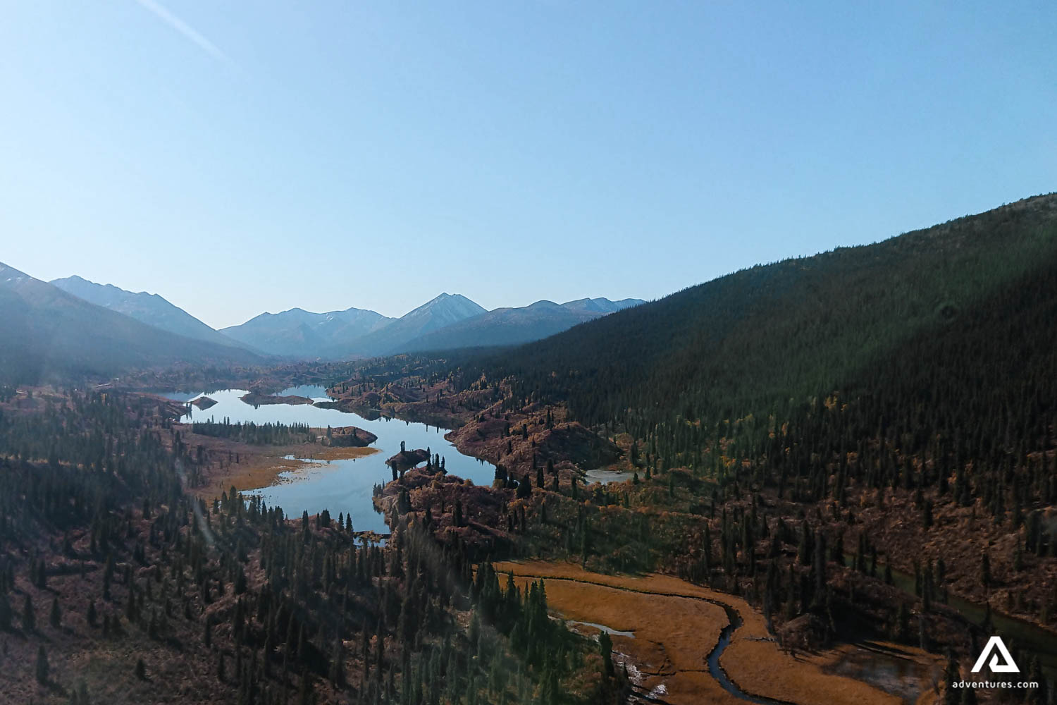 River Forest Aerial view