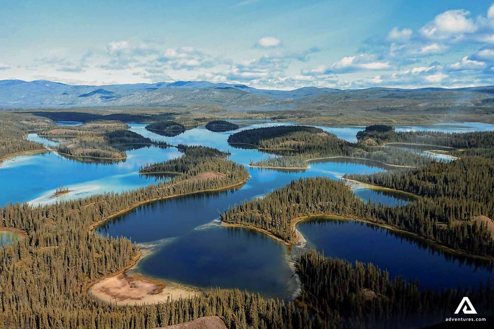 Aerial view of forest by lake