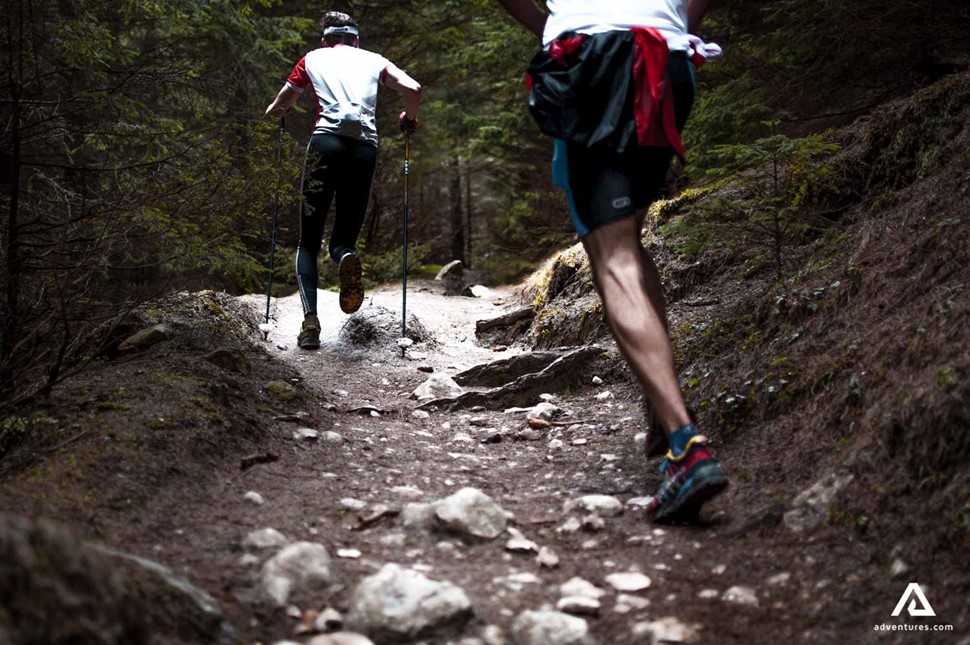 Hiking in Canada forest